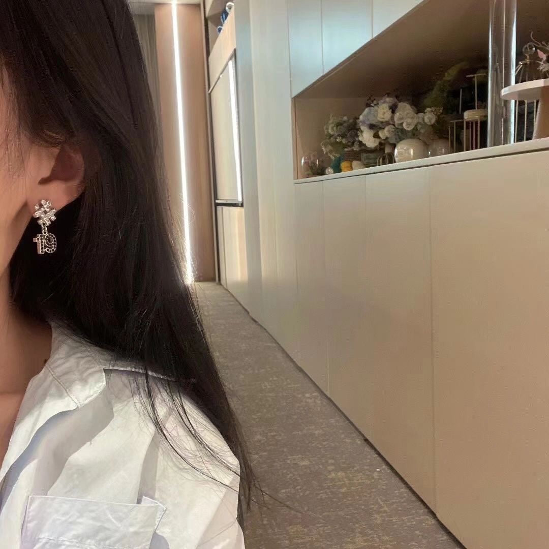 19 DOUBLE C SNOW SILVER EARRINGS - 图片 8